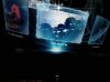 uploadfromtaptalk1391346933560.jpg