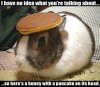 polls_no_idea_3423_445222_answer_4_xlarge.jpeg polls_no_idea_3423_445222_answer_4_xlarge.jpeg