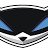 racoon_cooper