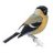 BullFinch85